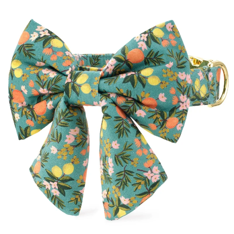 luxury silk necktie styles-Rifle Paper Co. x TFD Citrus Floral Lady Bow Collar